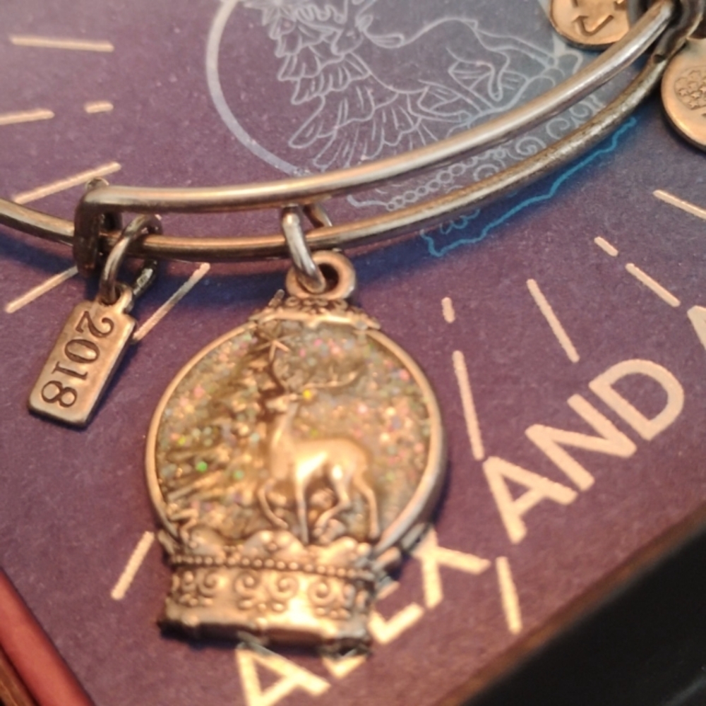 🤑ALEX AND ANI Snow Globe Wonder bangle